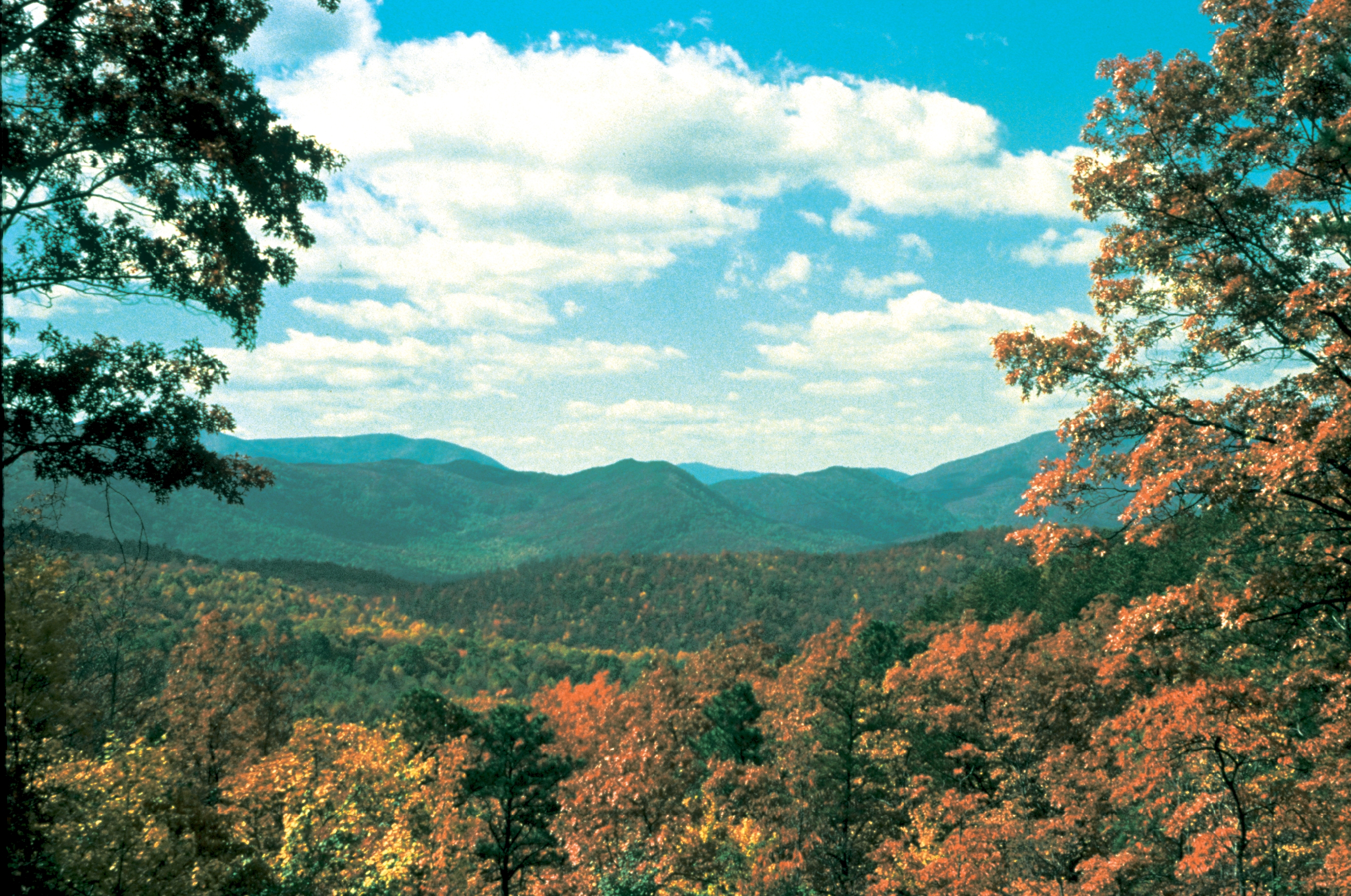 Fall in Smokies