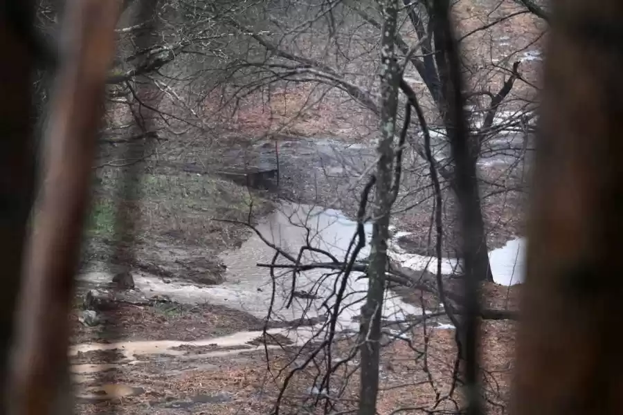 Dead trees and shrubs pushed into it; then graded over.