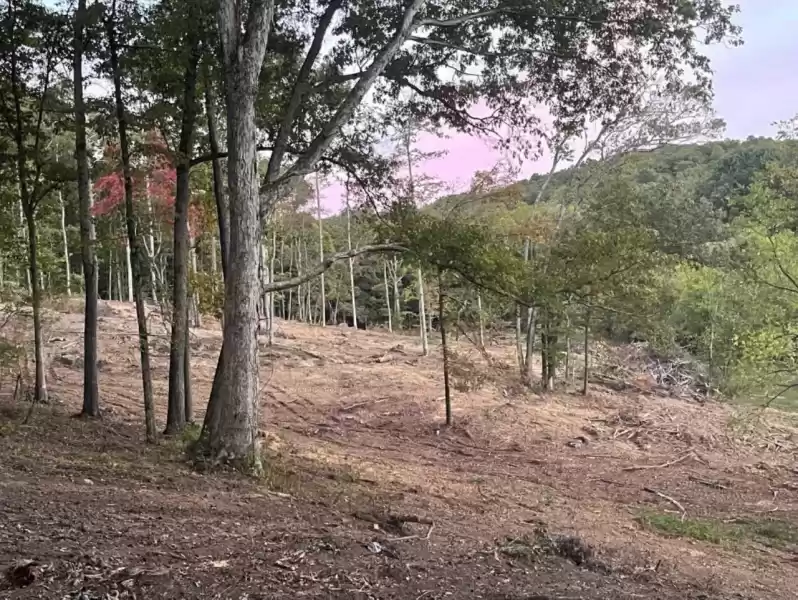 No proper erosion fences at all!