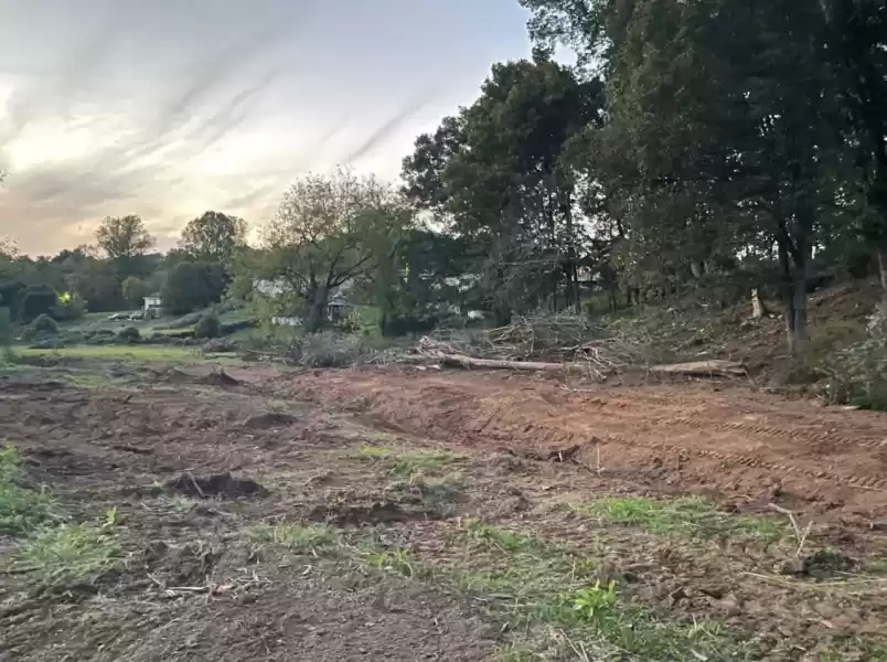 No vegetation left bordering the watercourse to filter sediment out before runoff hits the creek.  