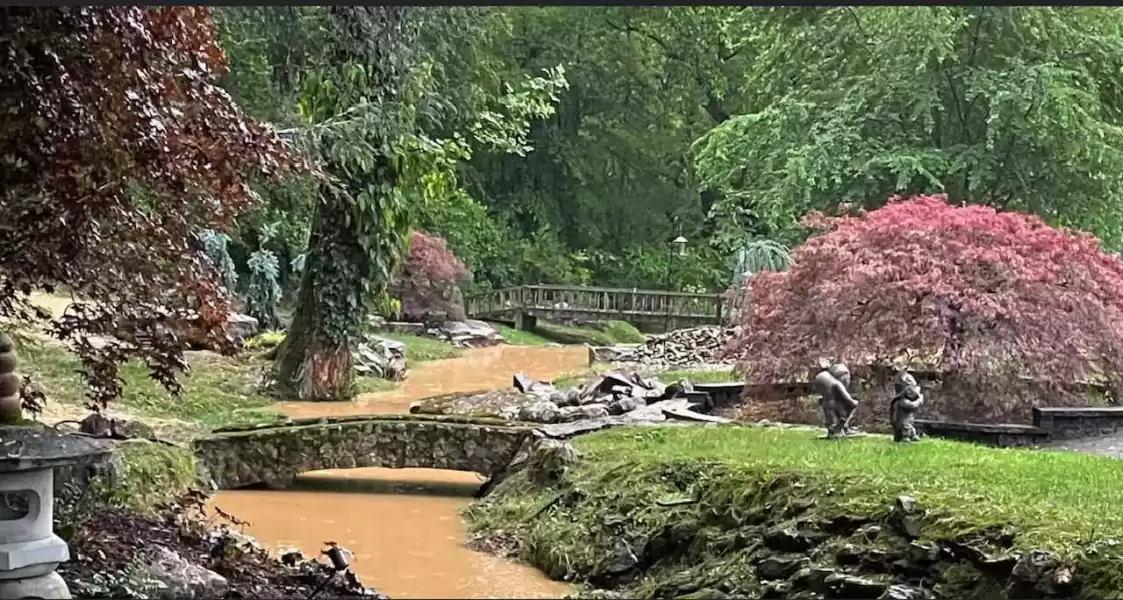 Polluted Hines Creek headwater carries away tons of sediments