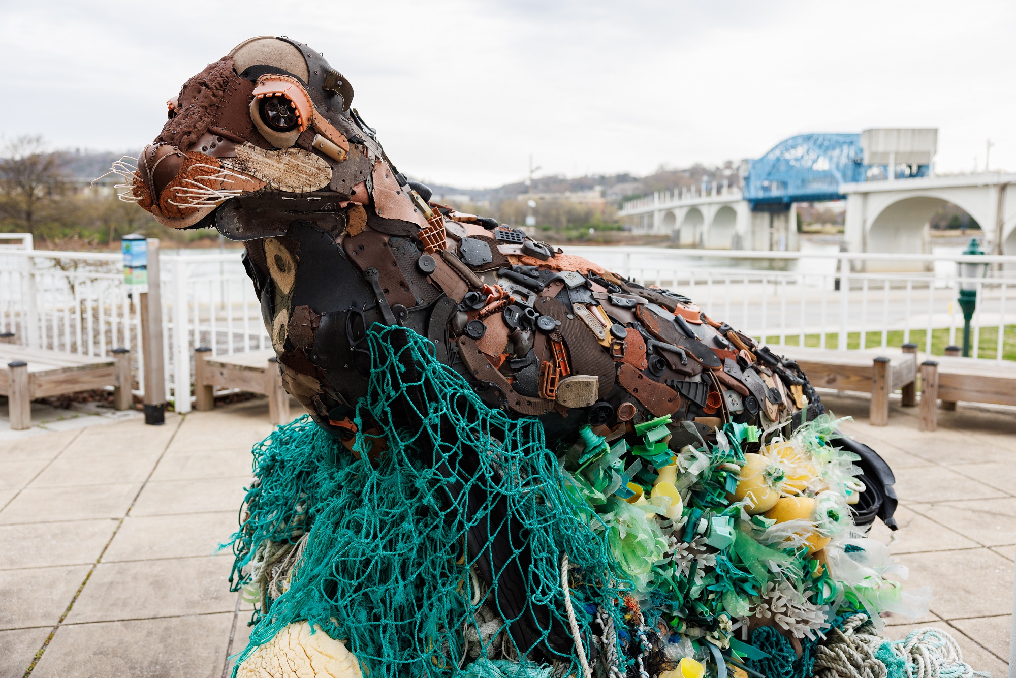 A Sea Lion sculpture from the Washed Ashore art exhibit.